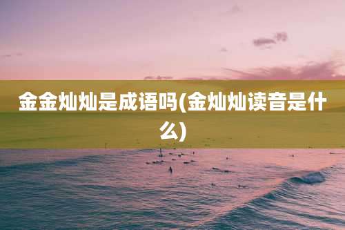 金金灿灿是成语吗(金灿灿读音是什么)
