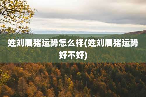 姓刘属猪运势怎么样(姓刘属猪运势好不好)