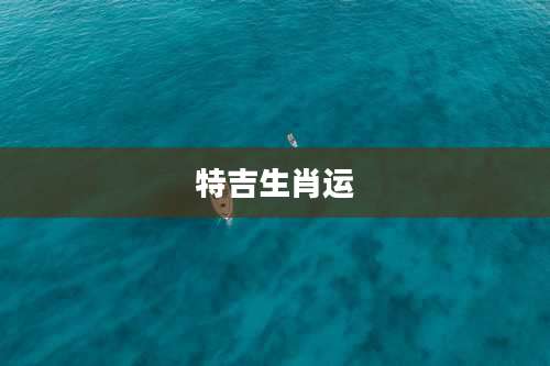 特吉生肖运