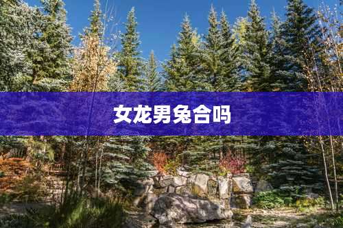 女龙男兔合吗