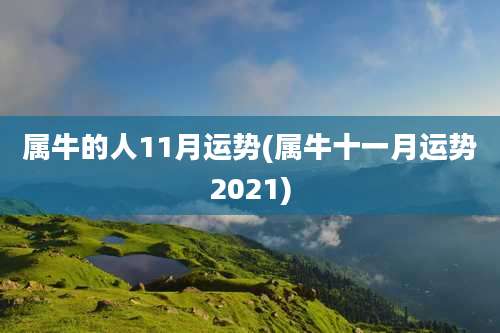 属牛的人11月运势(属牛十一月运势2021)
