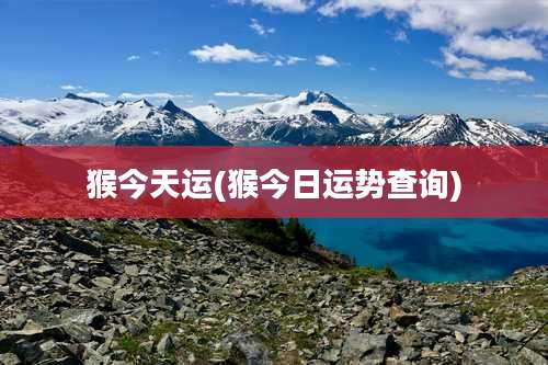 猴今天运(猴今日运势查询)