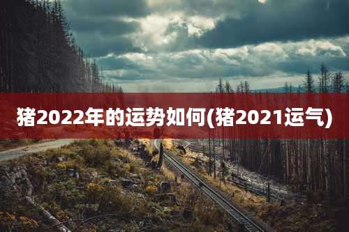 猪2022年的运势如何(猪2021运气)