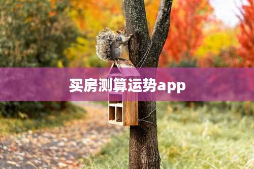 买房测算运势app