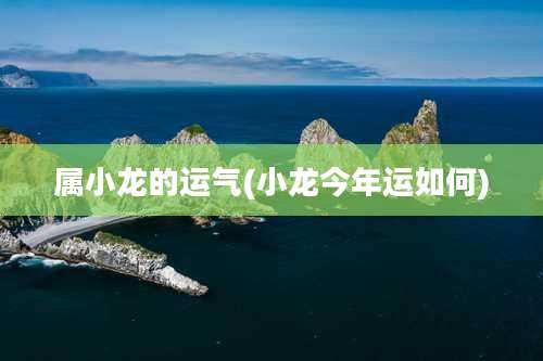 属小龙的运气(小龙今年运如何)