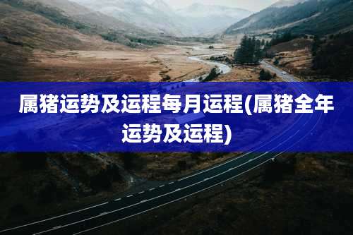 属猪运势及运程每月运程(属猪全年运势及运程)