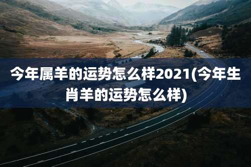 今年属羊的运势怎么样2021(今年生肖羊的运势怎么样)