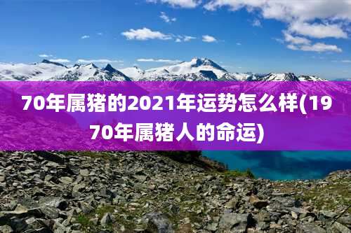 70年属猪的2021年运势怎么样(1970年属猪人的命运)