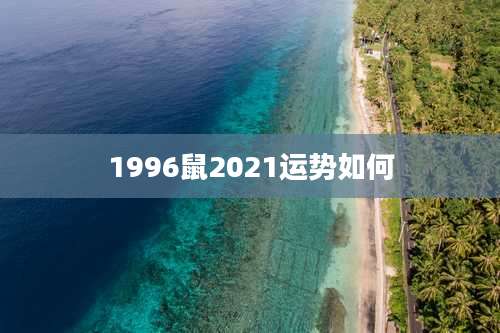 1996鼠2021运势如何