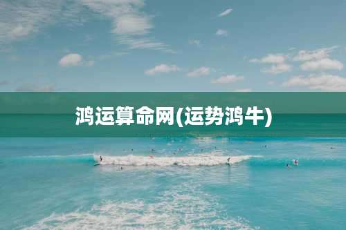 鸿运算命网(运势鸿牛)