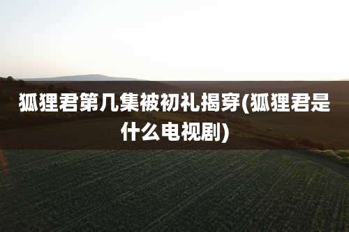 狐狸君第几集被初礼揭穿(狐狸君是什么电视剧)