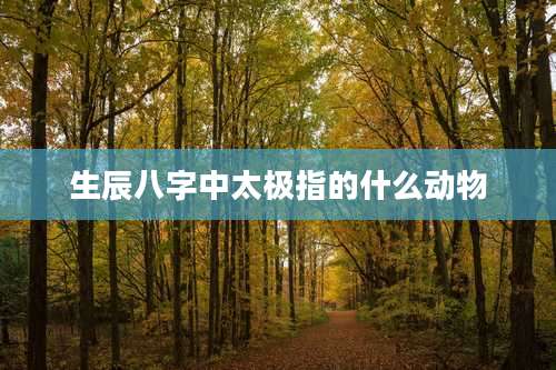 生辰八字中太极指的什么动物