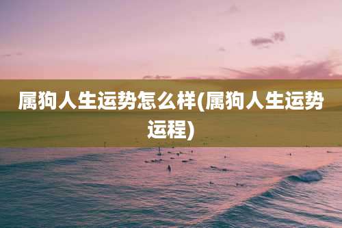 属狗人生运势怎么样(属狗人生运势运程)
