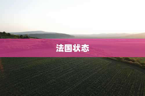 法国状态