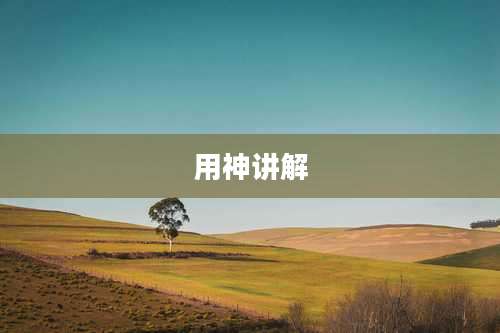 用神讲解