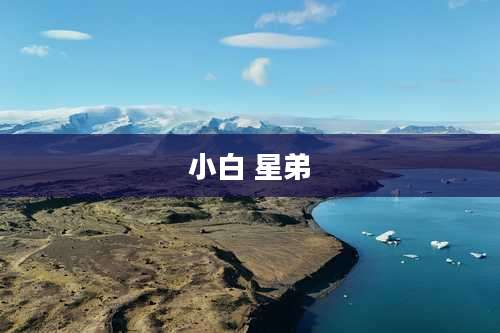 小白 星弟