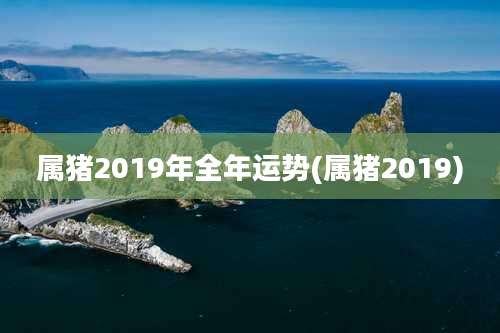 属猪2019年全年运势(属猪2019)