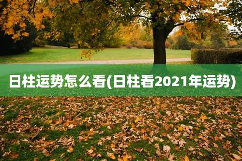 日柱运势怎么看(日柱看2021年运势)