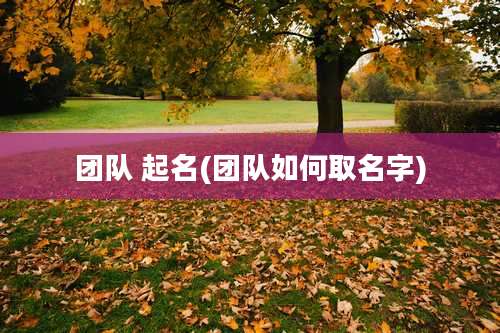 团队 起名(团队如何取名字)