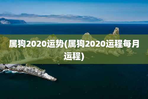 属狗2020运势(属狗2020运程每月运程)