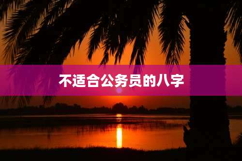 不适合公务员的八字