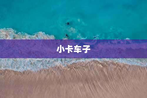 小卡车子