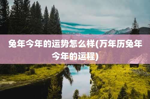 兔年今年的运势怎么样(万年历兔年今年的运程)
