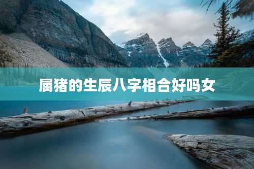 属猪的生辰八字相合好吗女