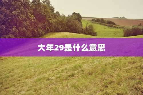 大年29是什么意思