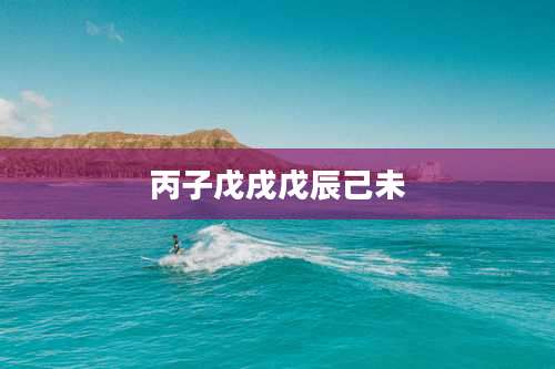 丙子戊戌戊辰己未