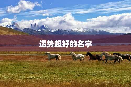 运势超好的名字
