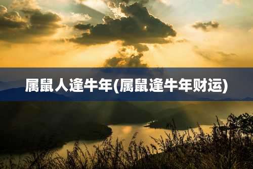 属鼠人逢牛年(属鼠逢牛年财运)