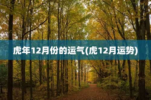 虎年12月份的运气(虎12月运势)