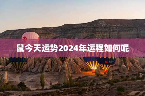鼠今天运势2024年运程如何呢