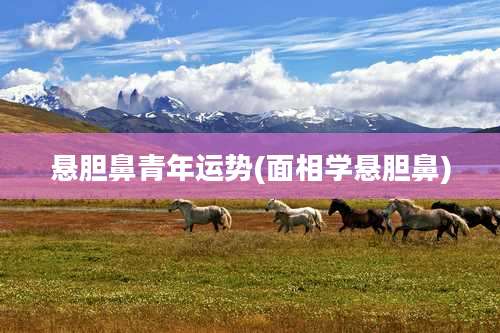 悬胆鼻青年运势(面相学悬胆鼻)