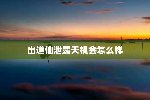 出道仙泄露天机会怎么样