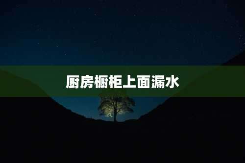 厨房橱柜上面漏水