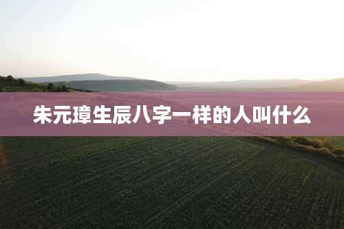 朱元璋生辰八字一样的人叫什么