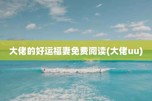 大佬的好运福妻免费阅读(大佬uu)