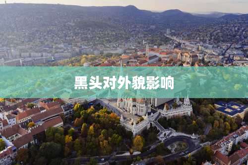 黑头对外貌影响