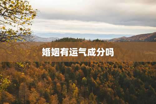 婚姻有运气成分吗
