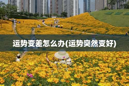 运势变差怎么办(运势突然变好)