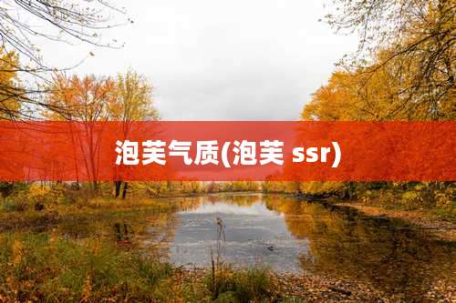泡芙气质(泡芙 ssr)