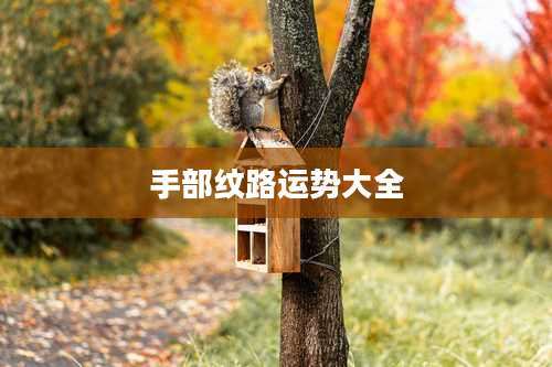 手部纹路运势大全