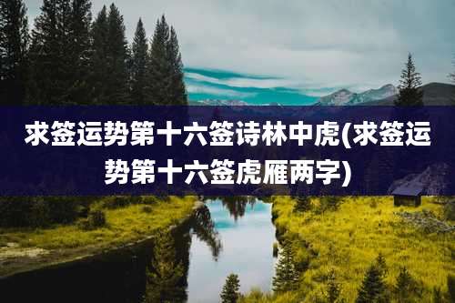 求签运势第十六签诗林中虎(求签运势第十六签虎雁两字)