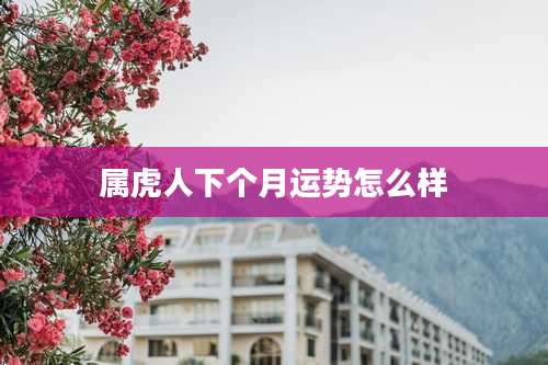 属虎人下个月运势怎么样