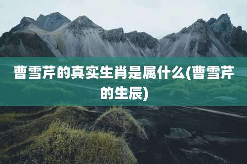 曹雪芹的真实生肖是属什么(曹雪芹的生辰)