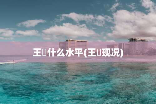 王濛什么水平(王濛现况)