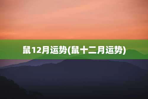 鼠12月运势(鼠十二月运势)