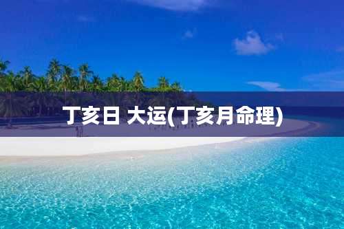 丁亥日 大运(丁亥月命理)